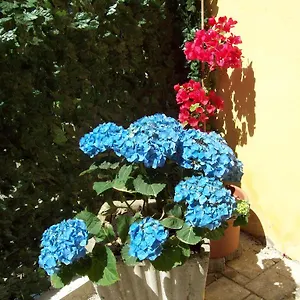 3* Guest house Le Divine - Reception Via Xxv Aprile 5